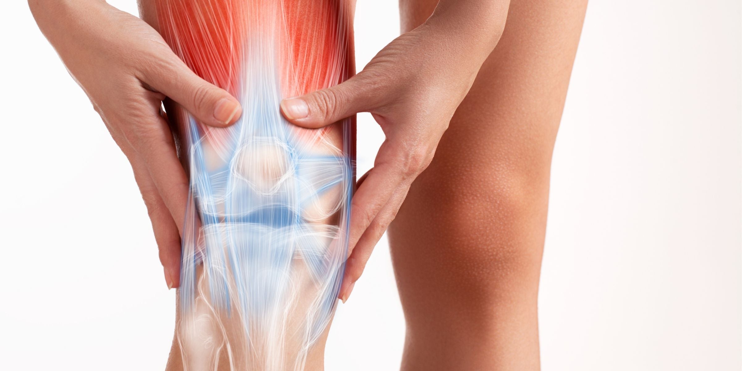 Patellaspitzensyndrom Schmerzzone