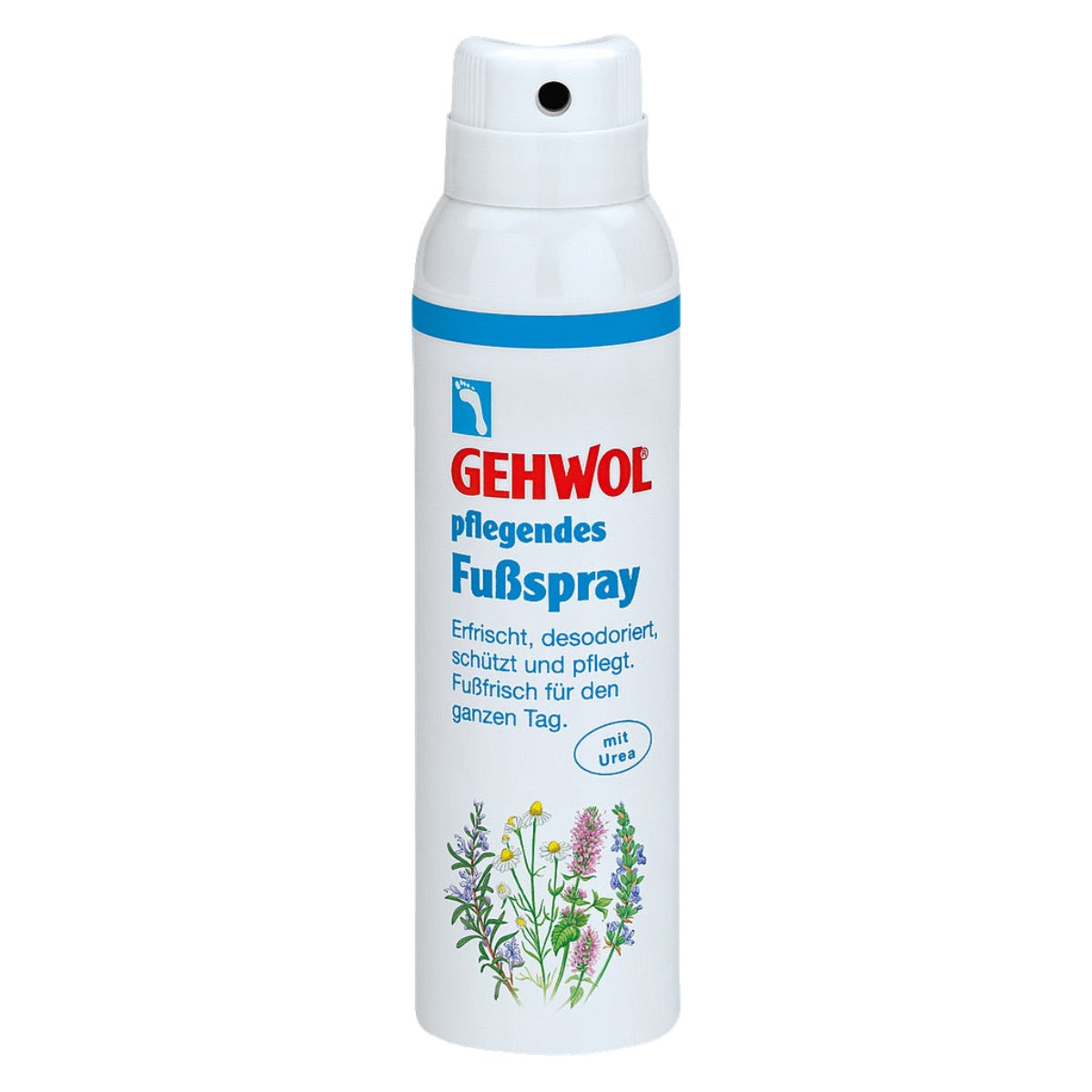 Gehwol Pflegendes Fussspray kaufen Fussdeo