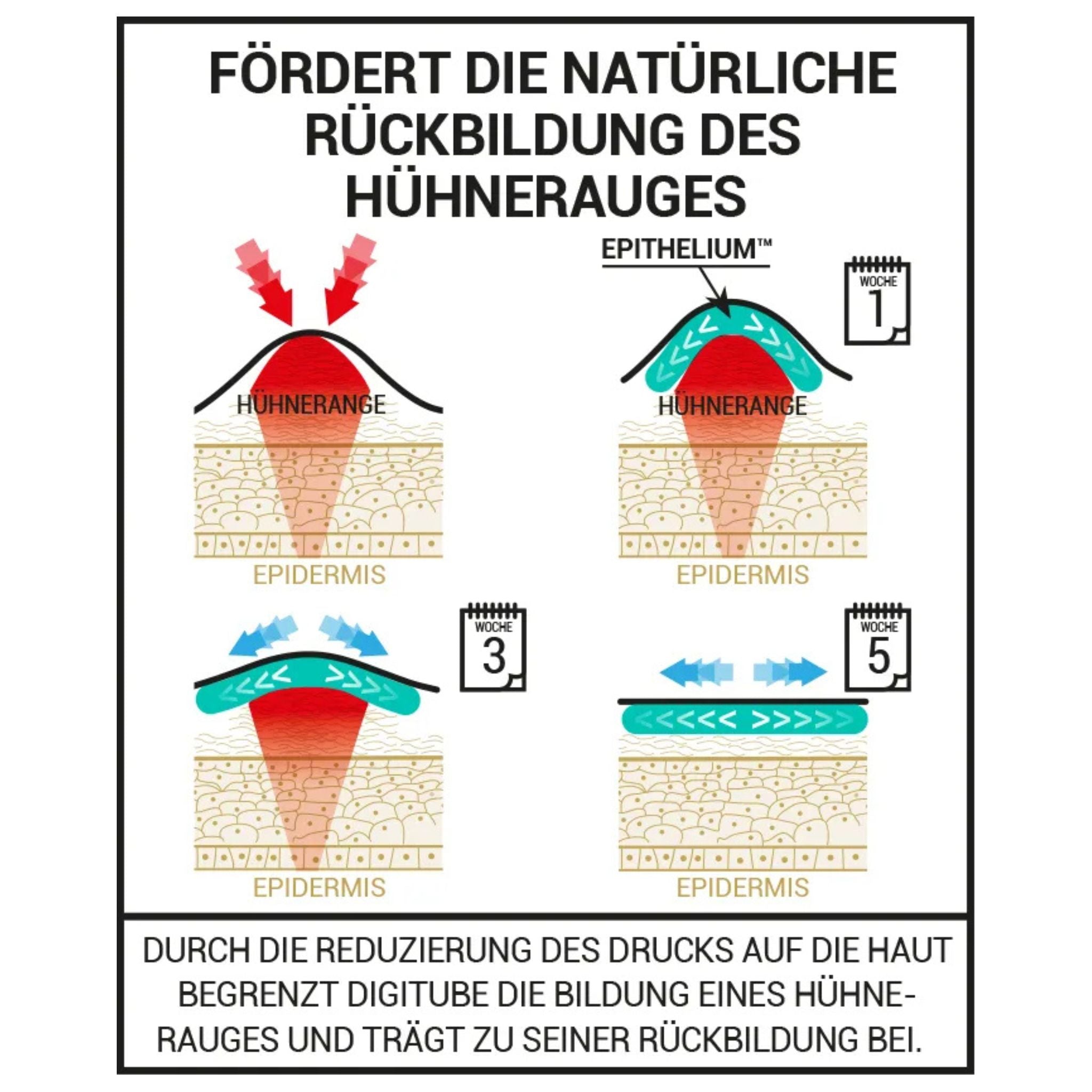 Epitact Digitube Wirkungsweise